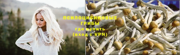 PSILOCYBIN Алзамай