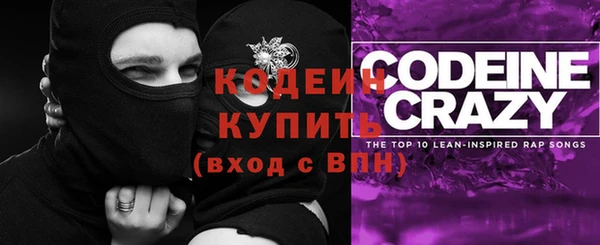 PSILOCYBIN Алзамай