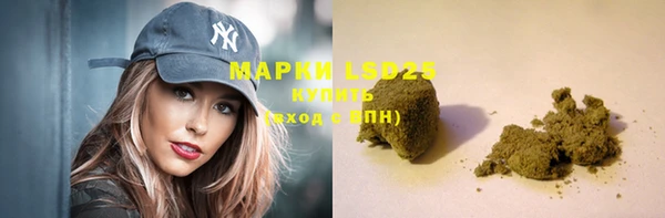 PSILOCYBIN Алзамай