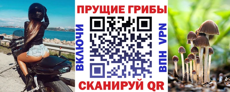 hydra маркетплейс  Елизово  Псилоцибиновые грибы ЛСД 